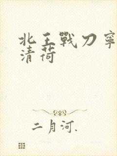 北王战刀宁北苏清荷