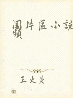 图片区小说区视频