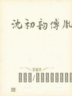 沈初韵傅胤小说