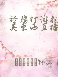 于炀打游戏下面夹东西直播