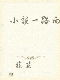 小说一路向西