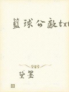 篮球公敌txt