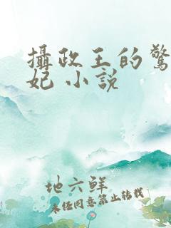 摄政王的惊世嫡妃 小说