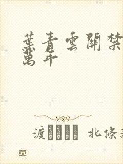 叶青云关禁闭一万年