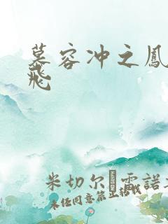 慕容冲之凤凰于飞