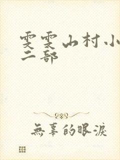 雯雯山村小说第二部