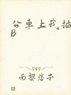 公车上我插上骚B