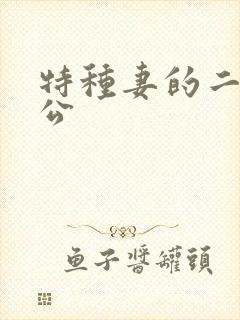 特种妻的二手老公