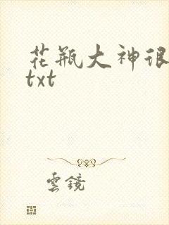 花瓶大神很菜鸟txt