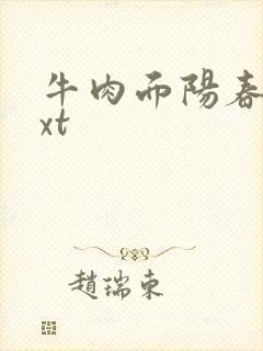 牛肉面阳春面txt