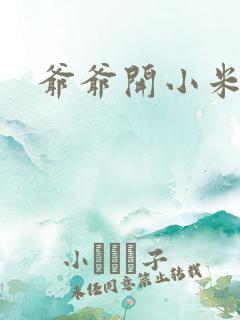 爷爷开小米的处