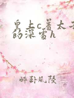 皇上c着太子妃的深处h