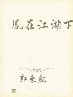 凤在江湖下载