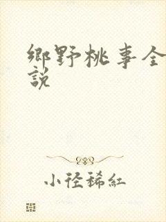乡野桃事全文小说