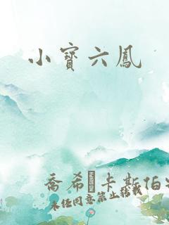 小宝六凤