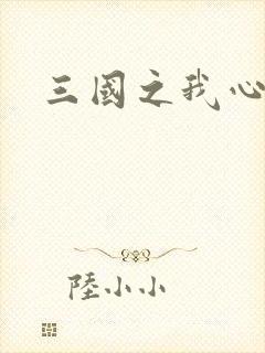 三国之我心狂想