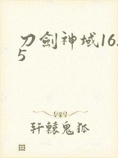 刀剑神域16.5