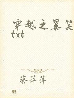 穿越之暴笑王妃txt