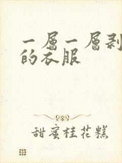一层一层剥掉你的衣服