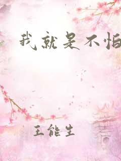 我就是不怕小说