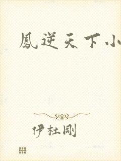 凤逆天下小说