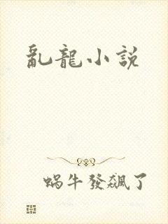 乱龙小说