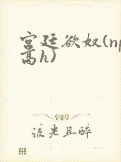 宫廷欲奴(np高h)