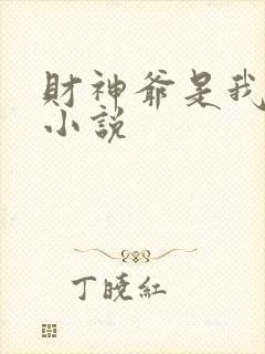 财神爷是我老板小说