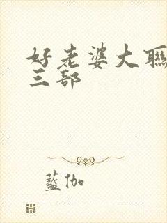 好老婆大联盟第三部