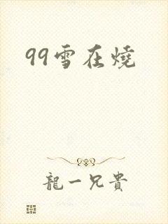 99雪在烧