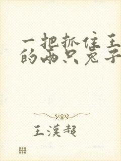 一把抓住王昭君的两只兔子