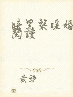 暗黑系暖婚免费阅读
