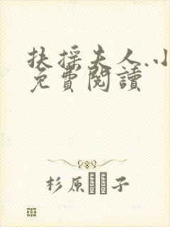 扶摇夫人.小说免费阅读