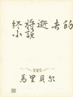 终将逝去的青春小说