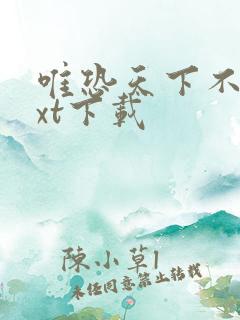 唯恐天下不乱txt下载