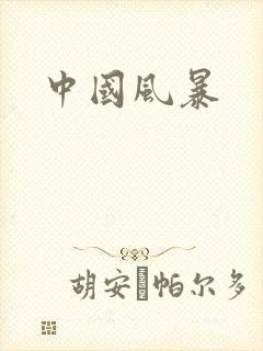 中国风暴
