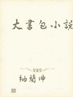大书包小说