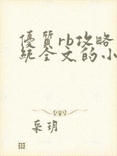 优质rb攻略系统全文的小说