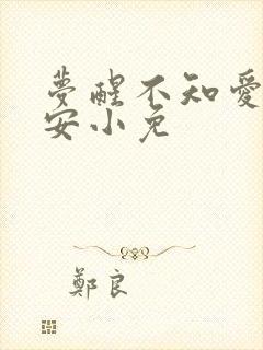 梦醒不知爱欢凉安小免