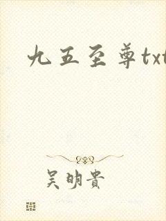 九五至尊txt