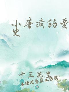 小唐璜的爱情历史