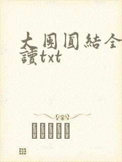 大团圆结全文阅读txt