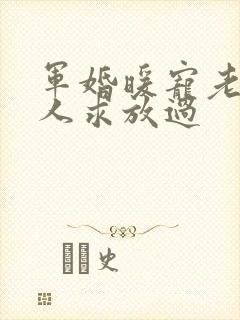 军婚暖宠老公大人求放过
