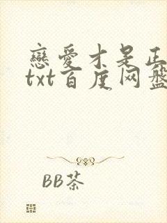 恋爱才是正经事txt百度网盘