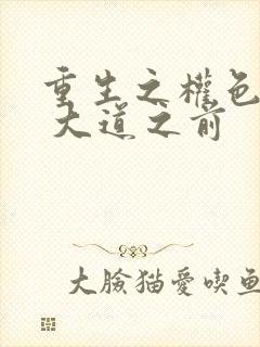 重生之权色巅峰 大道之前