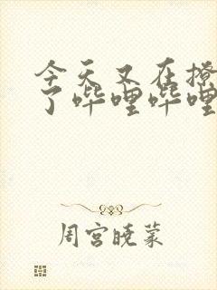 今天又在撩后妈了哔哩哔哩小说