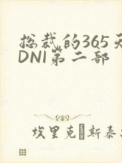 总裁的365天DNI第二部