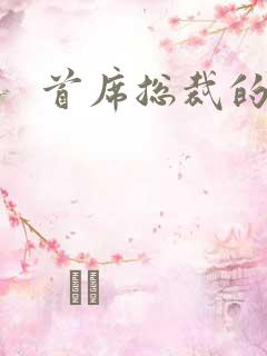 首席总裁的逃妻