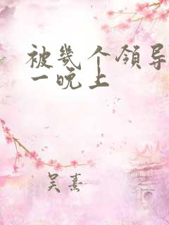 被几个领导玩弄一晚上