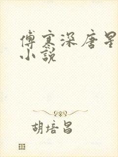 傅寒深唐星挽的小说